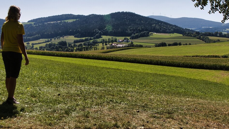 Wanderung G.E.R.A. Park-Rundweg, Eichberg - Touren-Impression #2.18 | © Unbekannt