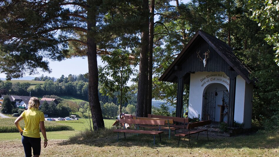 Wanderung G.E.R.A. Park-Rundweg, Eichberg - Touren-Impression #2.24 | © Unbekannt