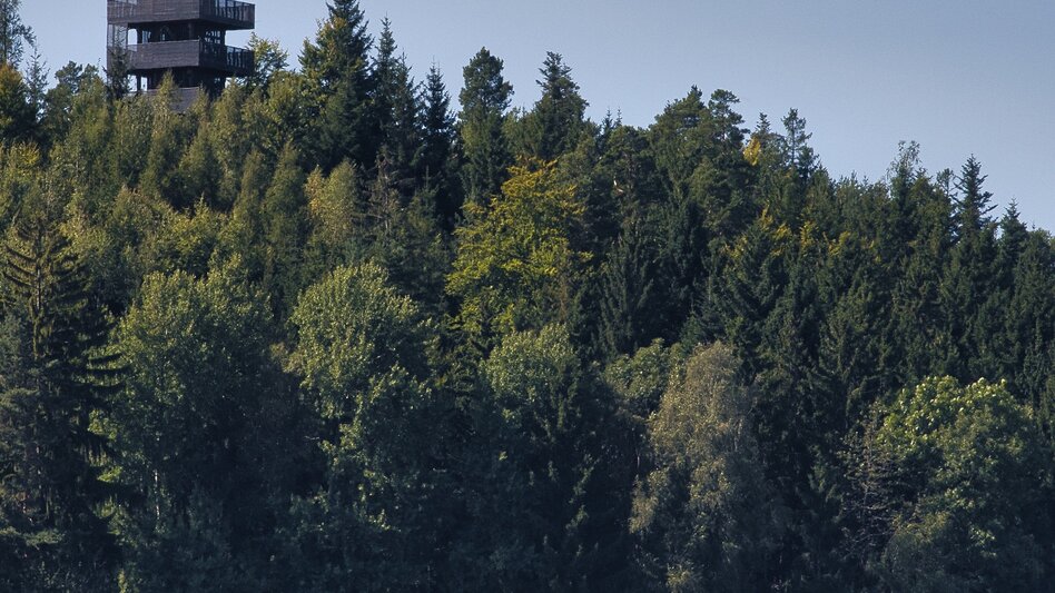Wanderung G.E.R.A. Park-Rundweg, Eichberg - Touren-Impression #2.25 | © Unbekannt