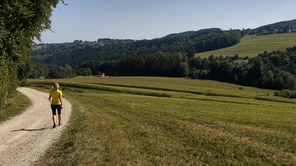 Wanderung G.E.R.A. Park-Rundweg, Eichberg - Touren-Impression #2.26 | © Unbekannt
