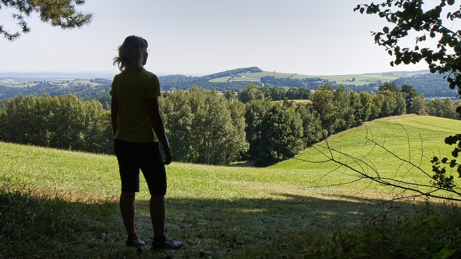 Wanderung G.E.R.A. Park-Rundweg, Eichberg - Touren-Impression #2.27 | © Oststeiermark Tourismus