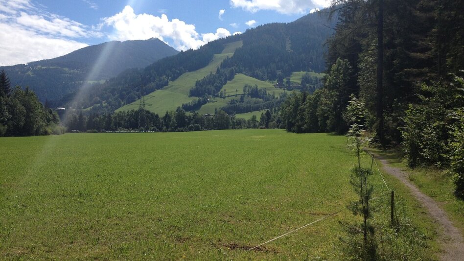 Hiking route Mandling Trail - Touren-Impression #2.1 | © Gerhard Pilz