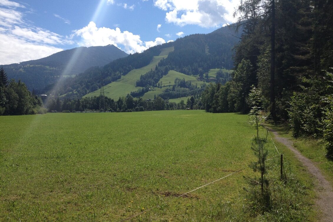 Hiking route Mandling Trail - Touren-Impression #1 | © Gerhard Pilz