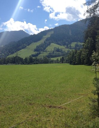 Blick Richtung Gleiming und Reiteralm | Gerhard Pilz | © Gerhard Pilz