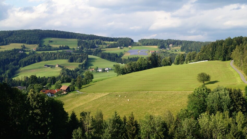 Hiking route R5 Präbichl-Glett-Rundweg - Touren-Impression #2.3 | © Region Graz