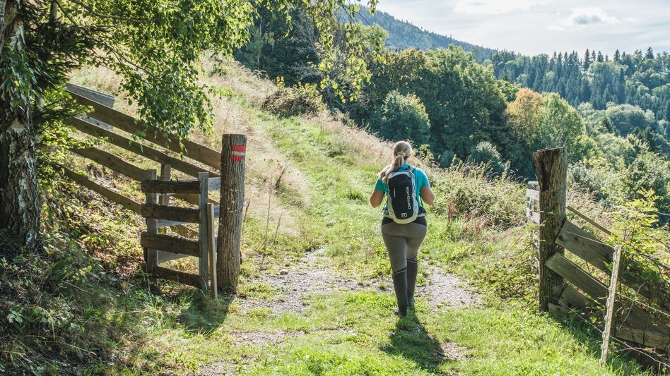 Hiking route R5 Präbichl-Glett-Rundweg - Touren-Impression #2.1