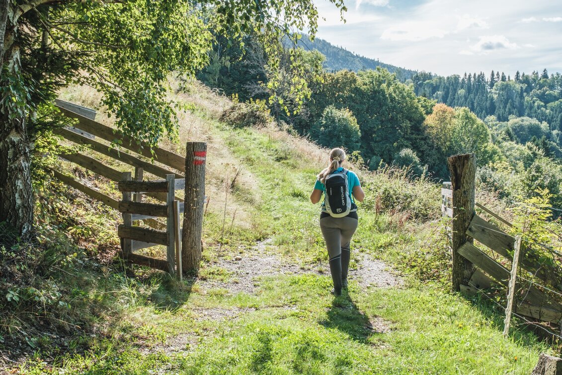 Hiking route R5 Präbichl-Glett-Rundweg - Touren-Impression #1