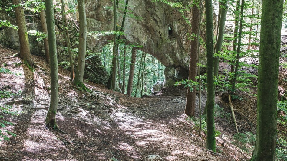 Hiking route R5 Präbichl-Glett-Rundweg - Touren-Impression #2.7