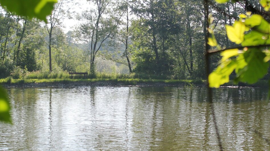 Theme path Immerse yourself in nature in the Hartberger Gmoos, Hartberg - Touren-Impression #2.1 | © Oststeiermark Tourismus
