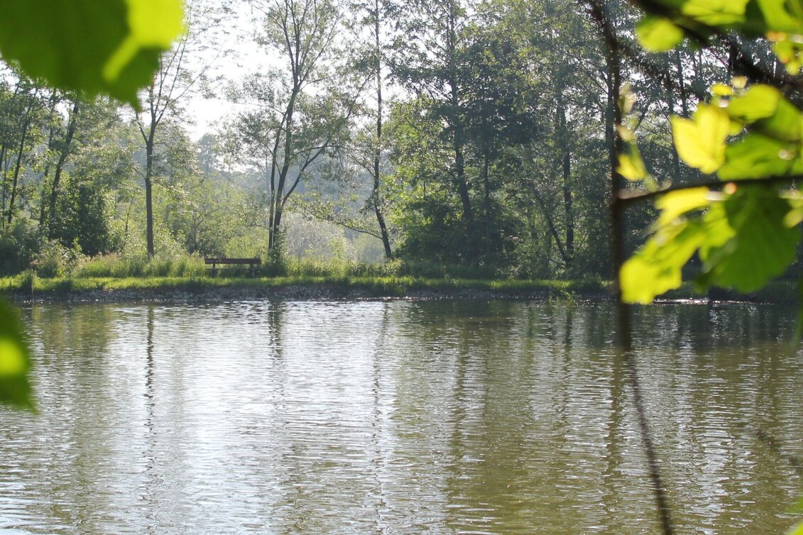 Theme path Immerse yourself in nature in the Hartberger Gmoos, Hartberg - Touren-Impression #1 | © Oststeiermark Tourismus