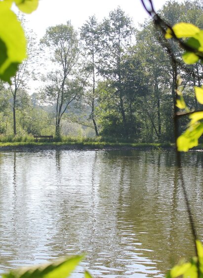 Gmoos 1 | © Oststeiermark Tourismus | Nicole Friesenbichler | © Oststeiermark Tourismus