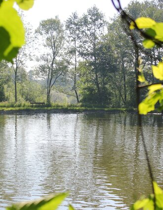 Gmoos 1 | Nicole Friesenbichler | © Oststeiermark Tourismus