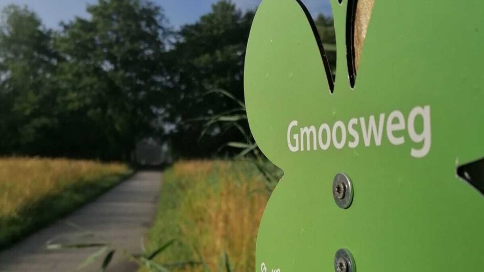 Theme path Immerse yourself in nature in the Hartberger Gmoos, Hartberg - Touren-Impression #2.3 | © Oststeiermark Tourismus