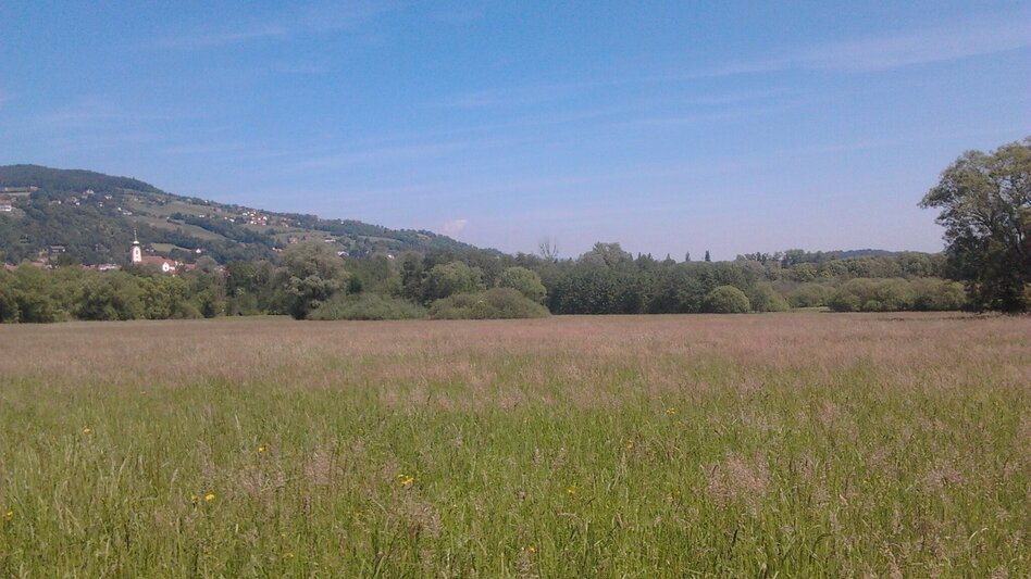 Theme path Immerse yourself in nature in the Hartberger Gmoos, Hartberg - Touren-Impression #2.4 | © Oststeiermark Tourismus