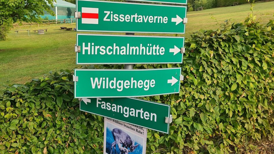 Theme path Masenberg forest nature trail, Pöllauberg - long variant - Touren-Impression #2.3 | © Oststeiermark Tourismus