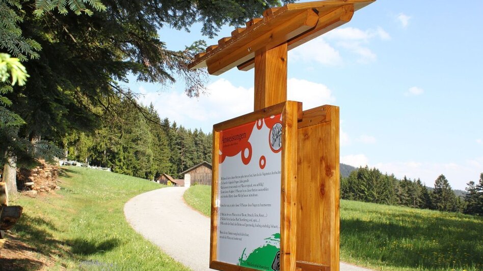 Theme path Masenberg forest nature trail, Pöllauberg - long variant - Touren-Impression #2.4 | © Oststeiermark Tourismus