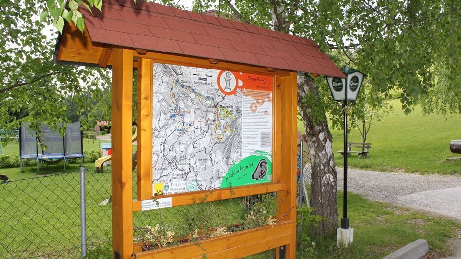 Theme path Masenberg forest nature trail, Pöllauberg - long variant - Touren-Impression #2.1 | © Oststeiermark Tourismus