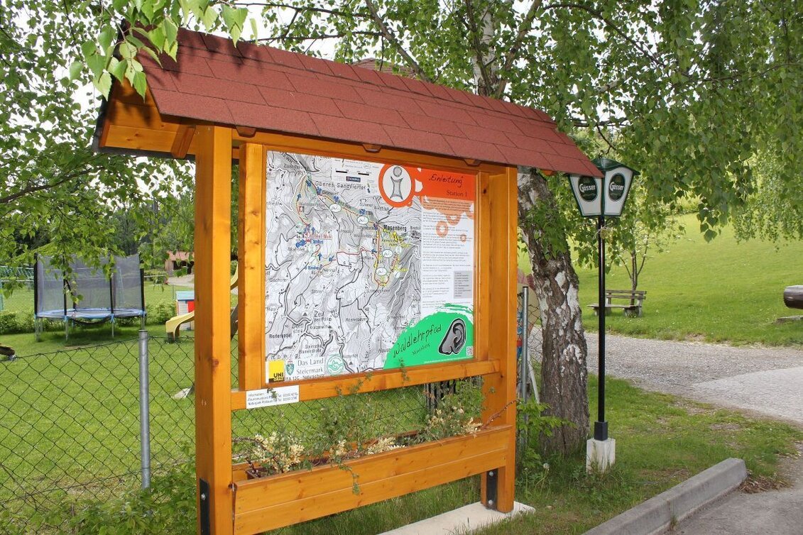 Theme path Masenberg forest nature trail, Pöllauberg - long variant - Touren-Impression #1 | © Oststeiermark Tourismus