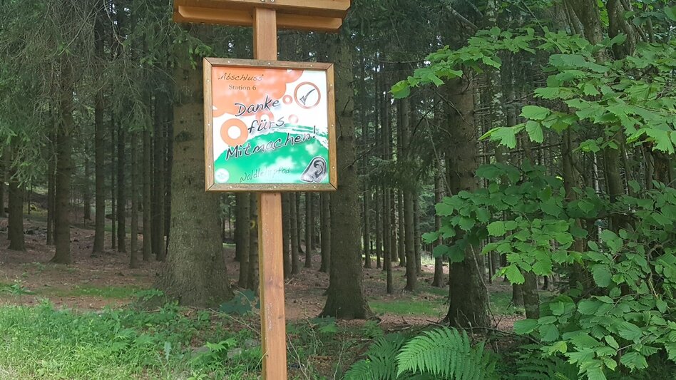 Theme path Masenberg forest nature trail, Pöllauberg - long variant - Touren-Impression #2.5 | © Oststeiermark Tourismus