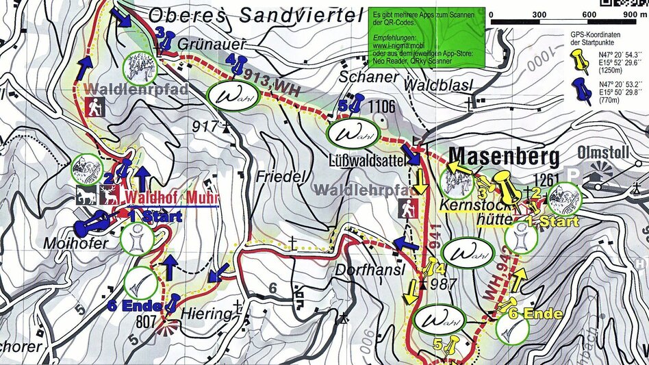 Theme path Masenberg forest nature trail, Pöllauberg - long variant - Touren-Impression #2.9 | © Oststeiermark Tourismus