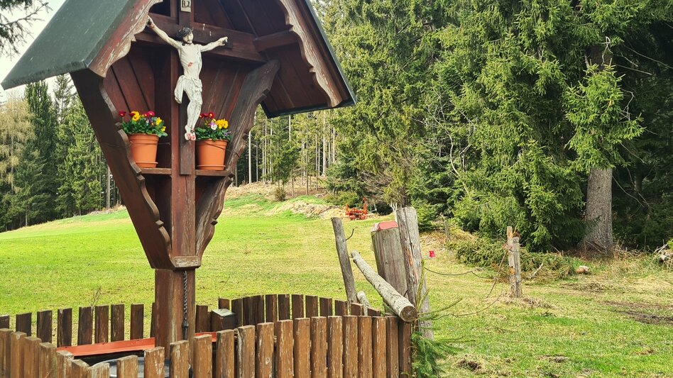 Theme path Masenberg forest nature trail, Pöllauberg - long variant - Touren-Impression #2.6 | © Oststeiermark Tourismus