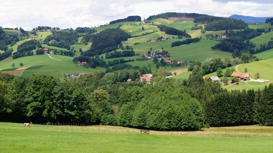Hiking route R4 Kl. Panoramarundweg - Touren-Impression #2.2 | © Region Graz