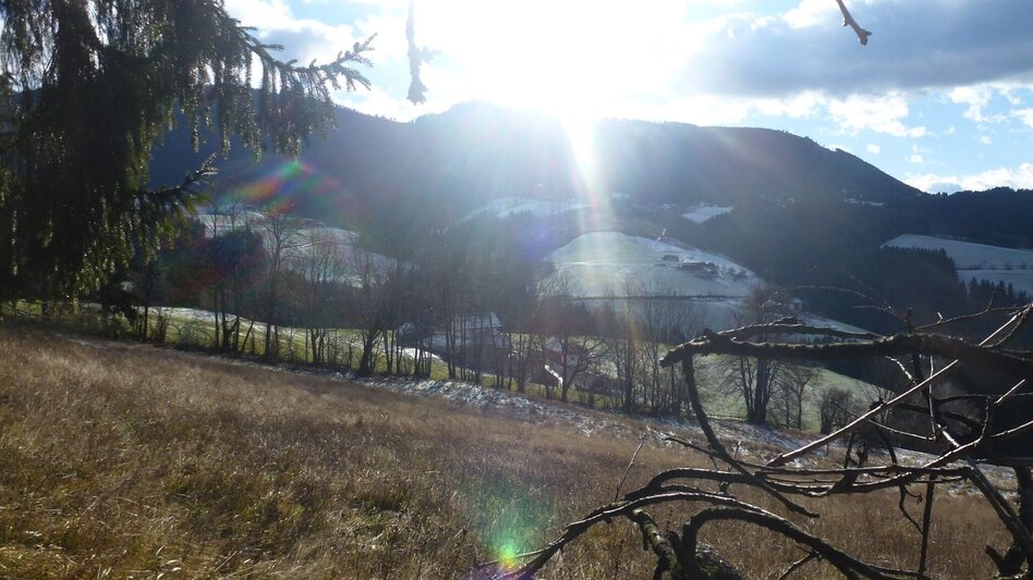 Wanderung R12: Windhof-Rundweg - Touren-Impression #2.4 | © Region Graz