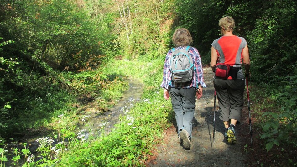 Hiking route R13 Rötschgrabenweg - Touren-Impression #2.3 | © Region Graz