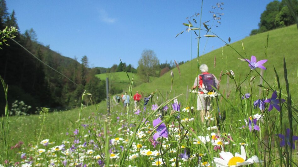 Hiking route R13 Rötschgrabenweg - Touren-Impression #2.1 | © Region Graz