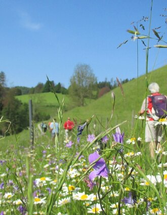 r13 rötschgrabenweg_img_19220732 | Andrea Gottlieb | © Region Graz