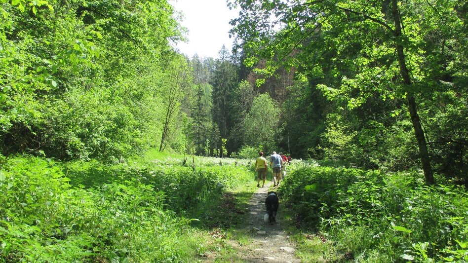 Hiking route R13 Rötschgrabenweg - Touren-Impression #2.5 | © Region Graz