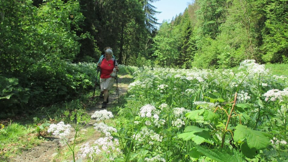 Hiking route R13 Rötschgrabenweg - Touren-Impression #2.6 | © Region Graz