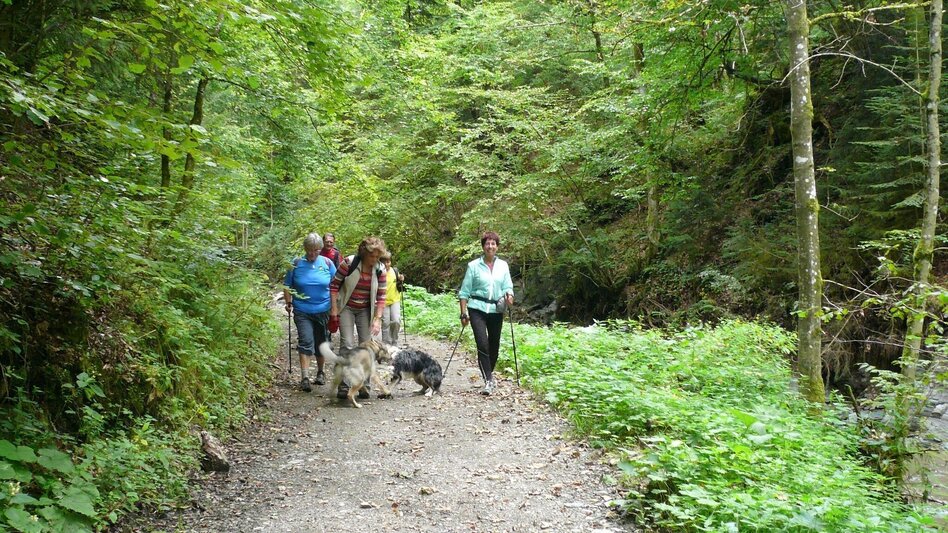 Hiking route R13 Rötschgrabenweg - Touren-Impression #2.8 | © Region Graz