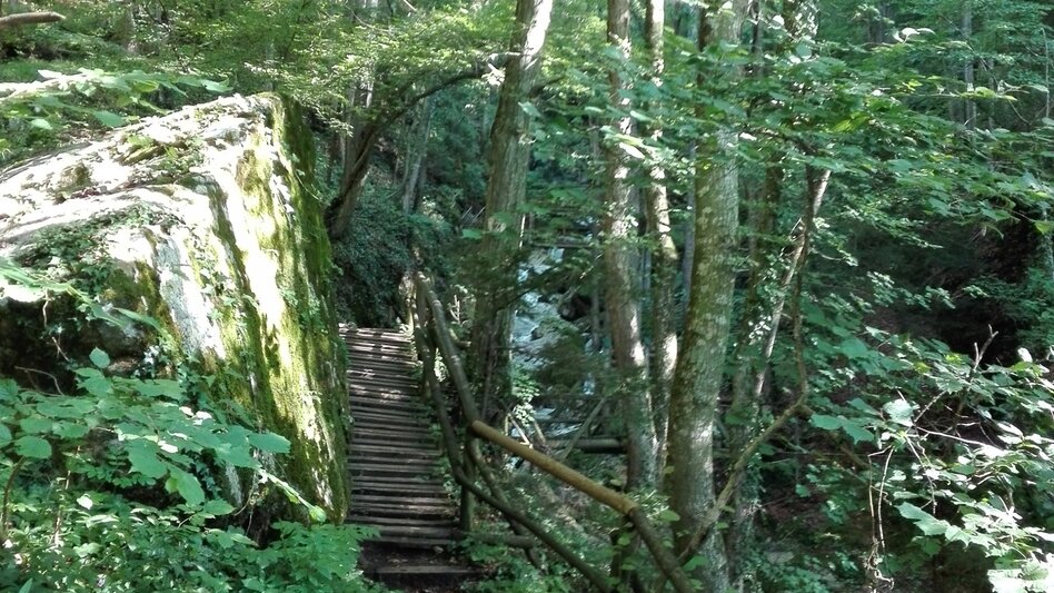 Hiking route Tour R6: Kesselfallrundweg - Touren-Impression #2.2 | © Region Graz