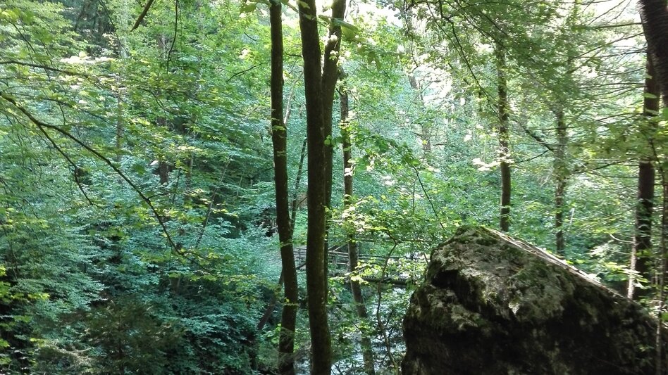 Hiking route Tour R6: Kesselfallrundweg - Touren-Impression #2.3 | © Region Graz