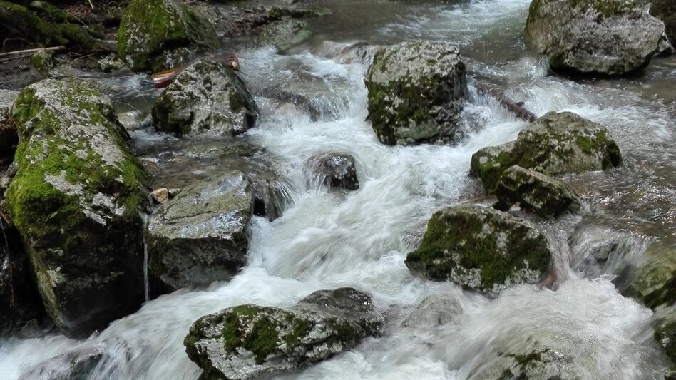 Hiking route Tour R6: Kesselfallrundweg - Touren-Impression #2.5 | © Region Graz