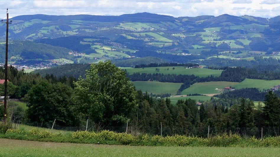 Hiking route R2 Ulrichsbrunn circular trail - Touren-Impression #2.6 | © Region Graz
