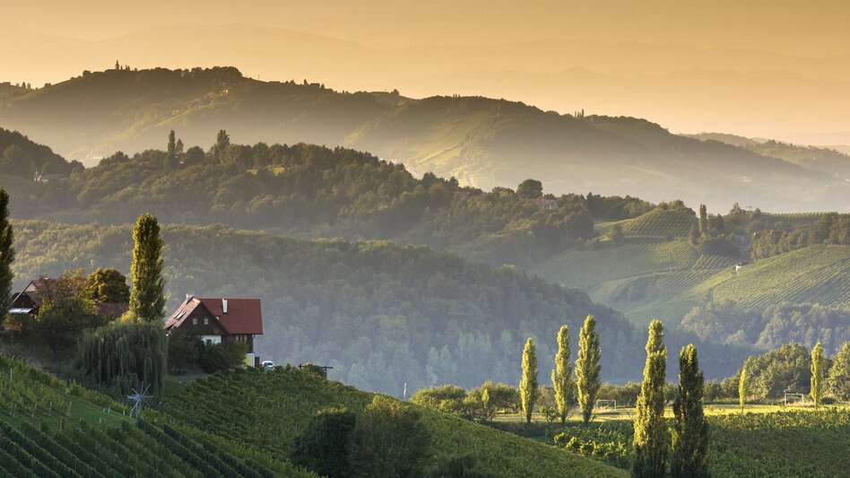 Bike Riding Styrian Wine Country Cycling Route - Variant Southern Styria-Schilcherland - Touren-Impression #2.9 | © (c) Steiermark Tourismus/Harry Schiffer