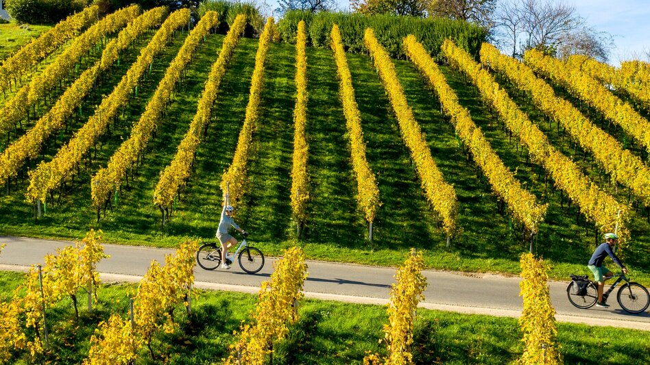 Bike Riding Styrian Wine Country Cycling Route - Variant Southern Styria-Schilcherland - Touren-Impression #2.6 | © Steiermark Tourismus/Tom Lamm