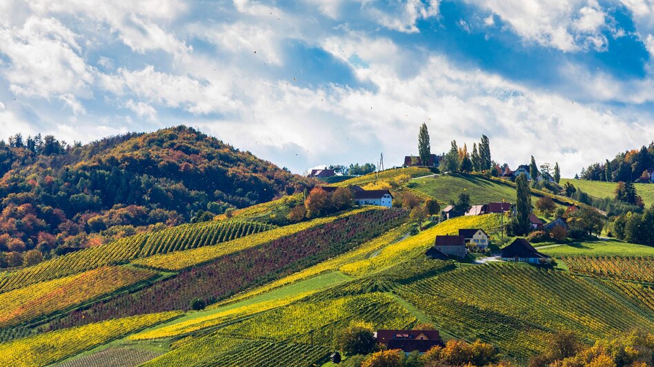 Bike Riding Styrian Wine Country Cycling Route - Variant Southern Styria-Schilcherland - Touren-Impression #2.2 | © (c) Steiermark Tourismus/Harry Schiffer