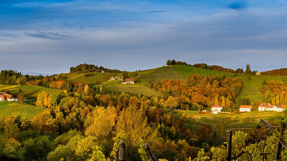 Bike Riding Styrian Wine Country Cycling Route - Variant Southern Styria-Schilcherland - Touren-Impression #2.8 | © Steiermark Tourismus/pixelmaker.at