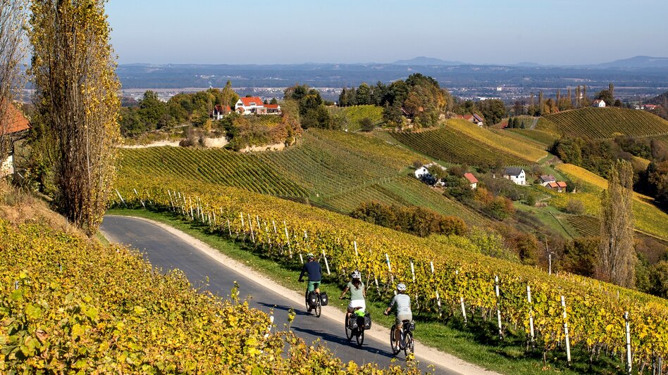 Bike Riding Styrian Wine Country Cycling Route - Variant Southern Styria-Schilcherland - Touren-Impression #2.1 | © (c) Steiermark Tourismus/Tom Lamm