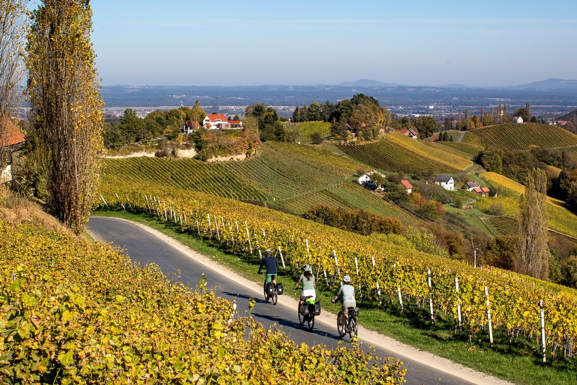 Bike Riding Styrian Wine Country Cycling Route - Variant Southern Styria-Schilcherland - Touren-Impression #1 | © (c) Steiermark Tourismus/Tom Lamm
