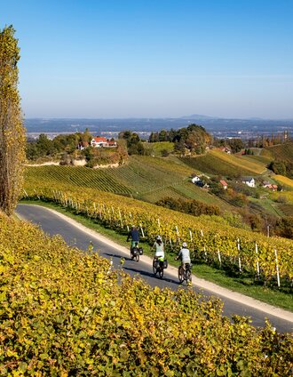 Unterwegs im Naturpark Südsteiermark | Tom Lamm | © (c) Steiermark Tourismus/Tom Lamm