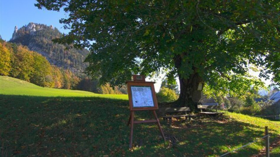 Radfahren Blaa Alm - Pflindsberg - Touren-Impression #2.1 | © Ausseerland