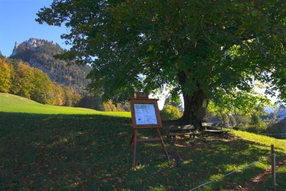 Radfahren Blaa Alm - Pflindsberg - Touren-Impression #1 | © Ausseerland
