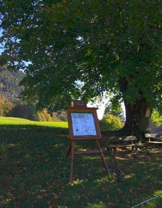 Unter der Hofmannstahl-Linde in Obertressen | G&uuml;nter K&ouml;berl | © Ausseerland