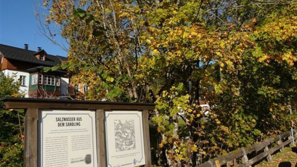 Radfahren Blaa Alm - Pflindsberg - Touren-Impression #2.3 | © Ausseerland