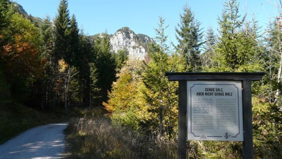 Radfahren Blaa Alm - Pflindsberg - Touren-Impression #2.4 | © Ausseerland