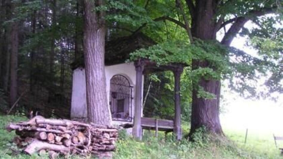 Wanderung Niederung Talrunde Leoben - Touren-Impression #2.4 | © Anton Hirschmann